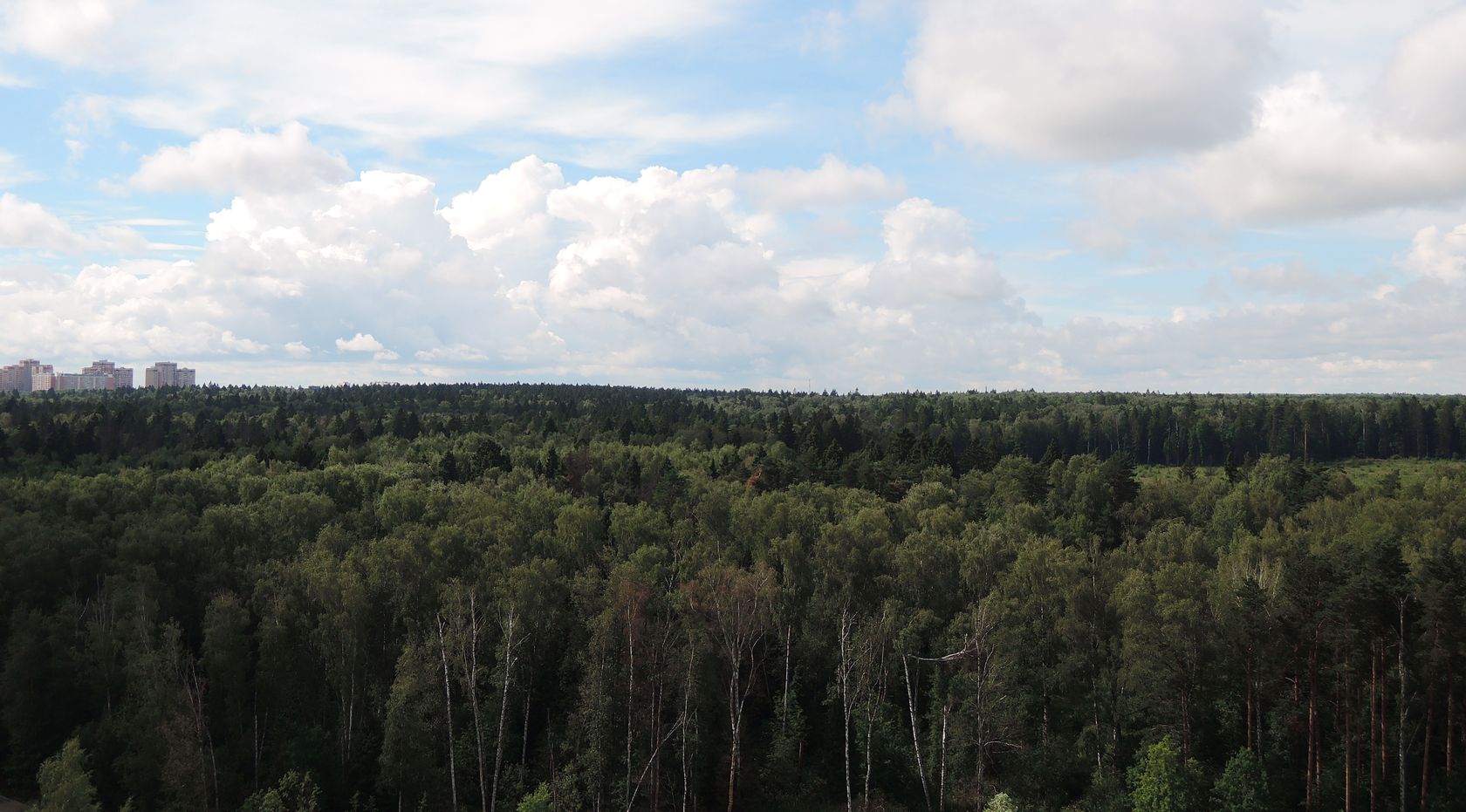 Горенки, image of landscape/habitat.