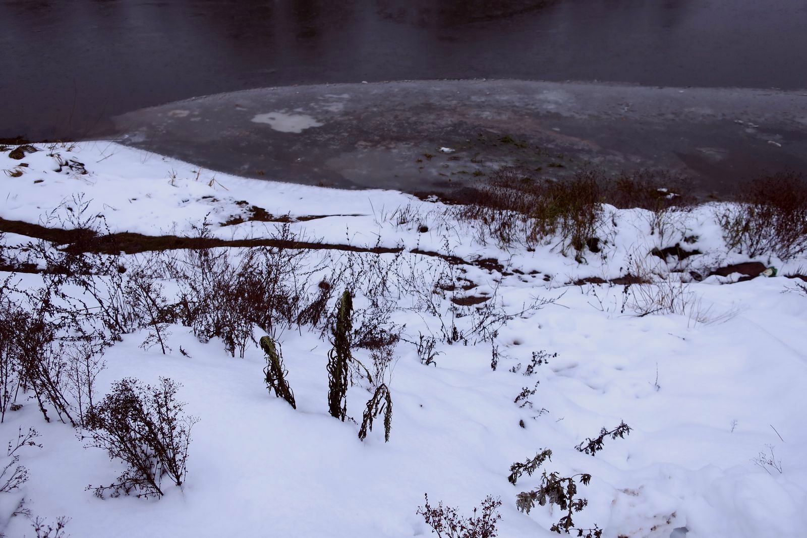 Коложа, image of landscape/habitat.