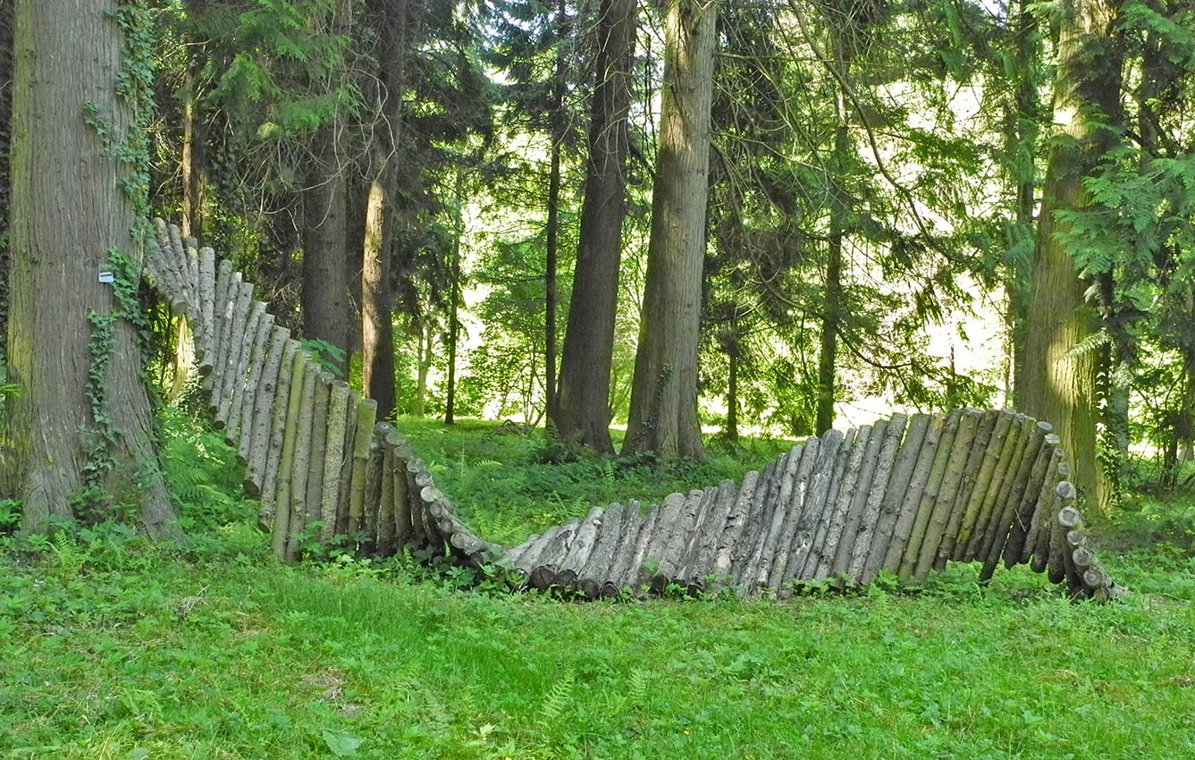 Арборетум в Рогове, image of landscape/habitat.