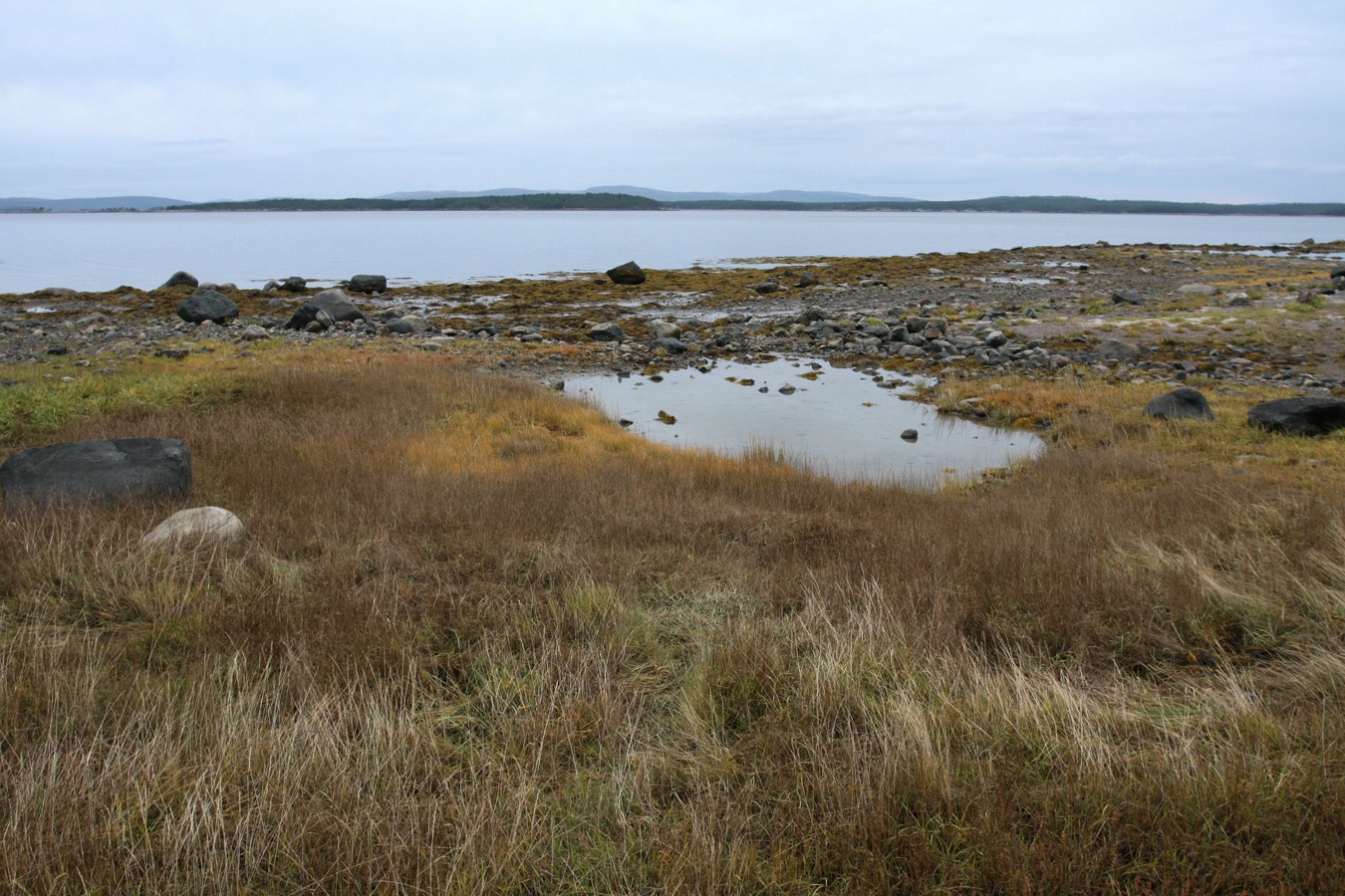 Лабиринт "Вавилон", image of landscape/habitat.