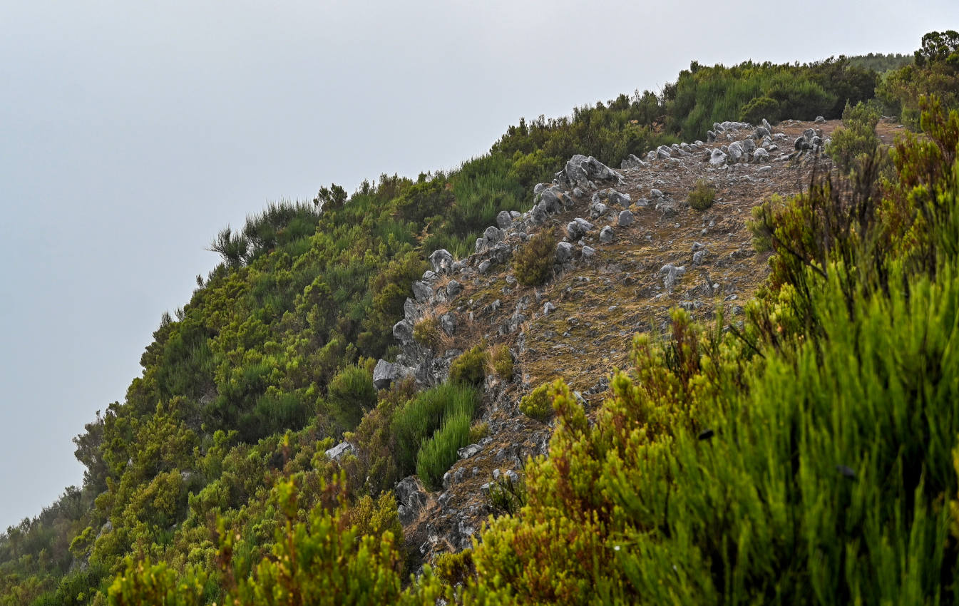 Национальный парк "Фанал", изображение ландшафта.