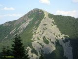 Заповедник "Горганы", Кливки, image of landscape/habitat.