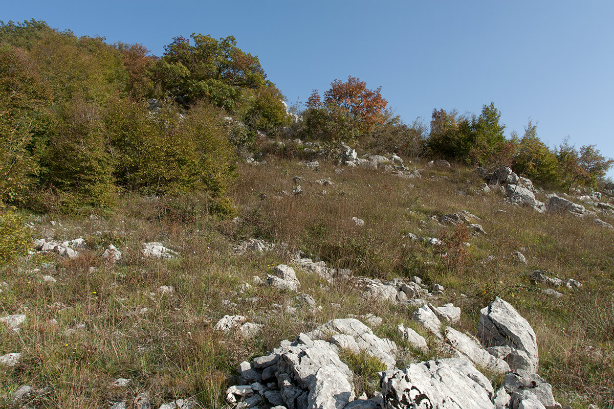 Путь к Космачу, image of landscape/habitat.