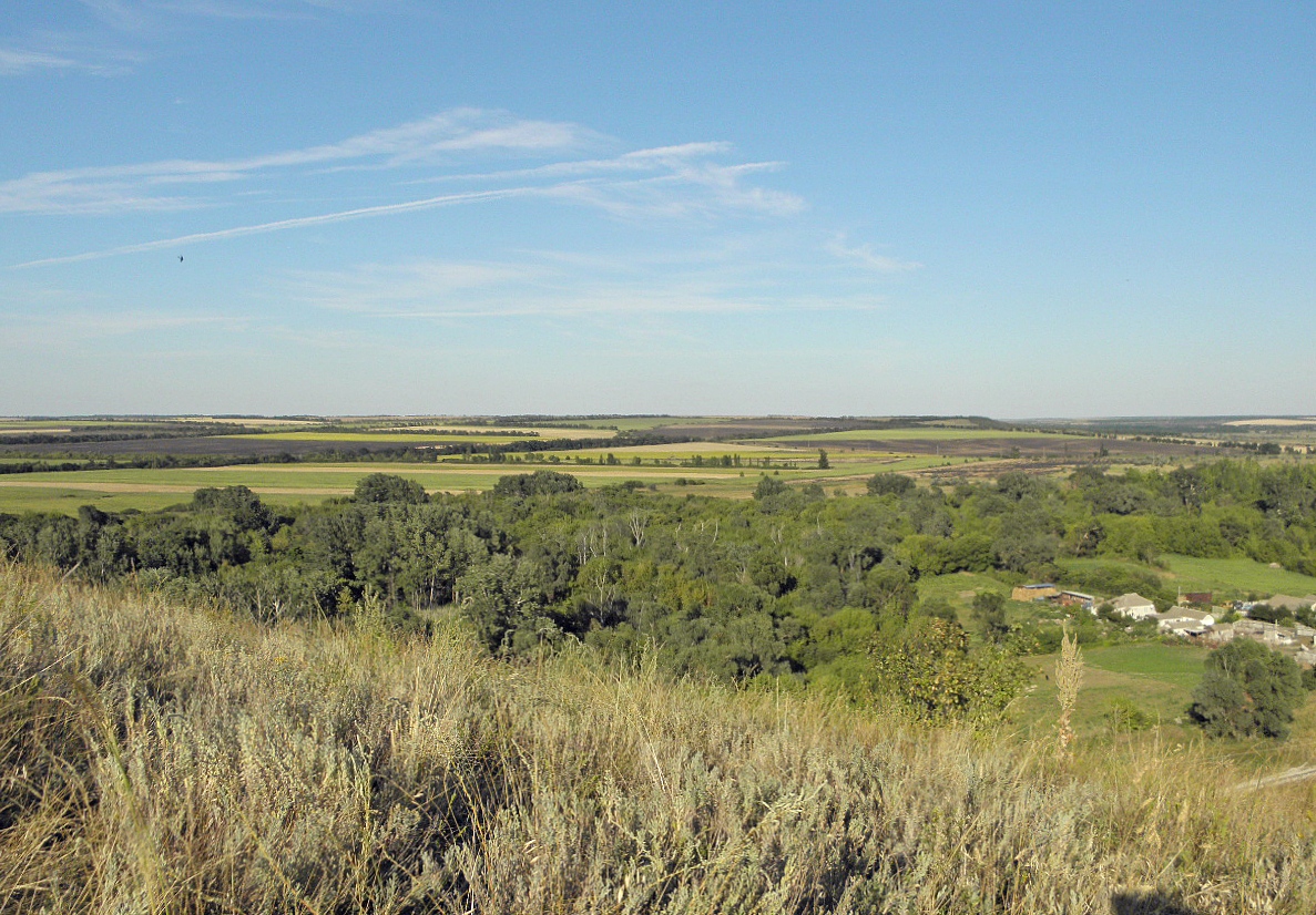 Село Стрельцовка, image of landscape/habitat.