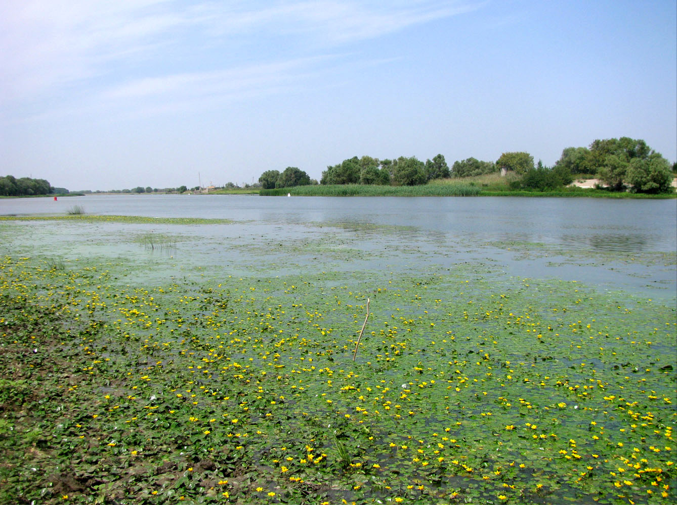 Болда, image of landscape/habitat.