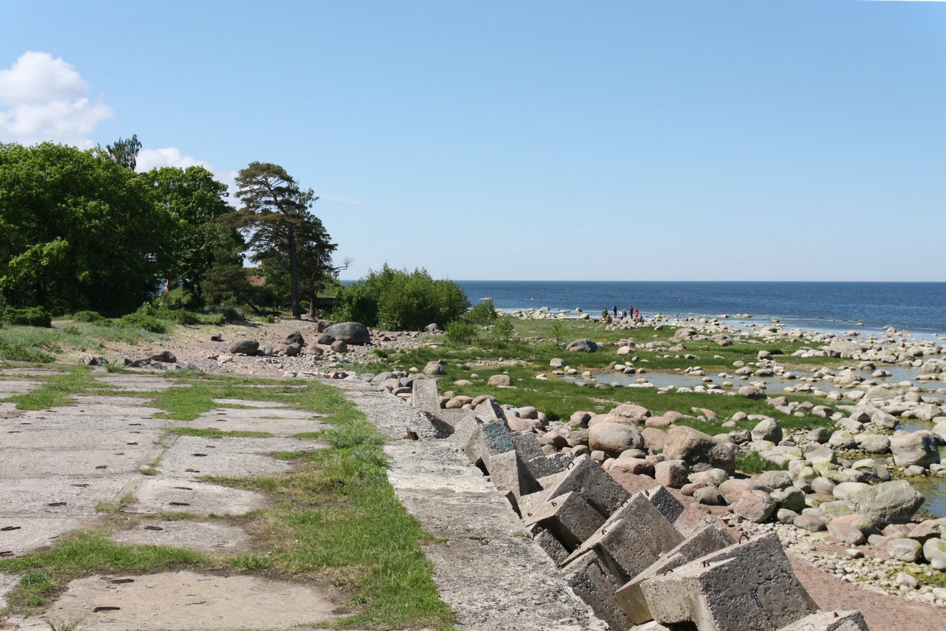 Шепелёвский маяк, image of landscape/habitat.