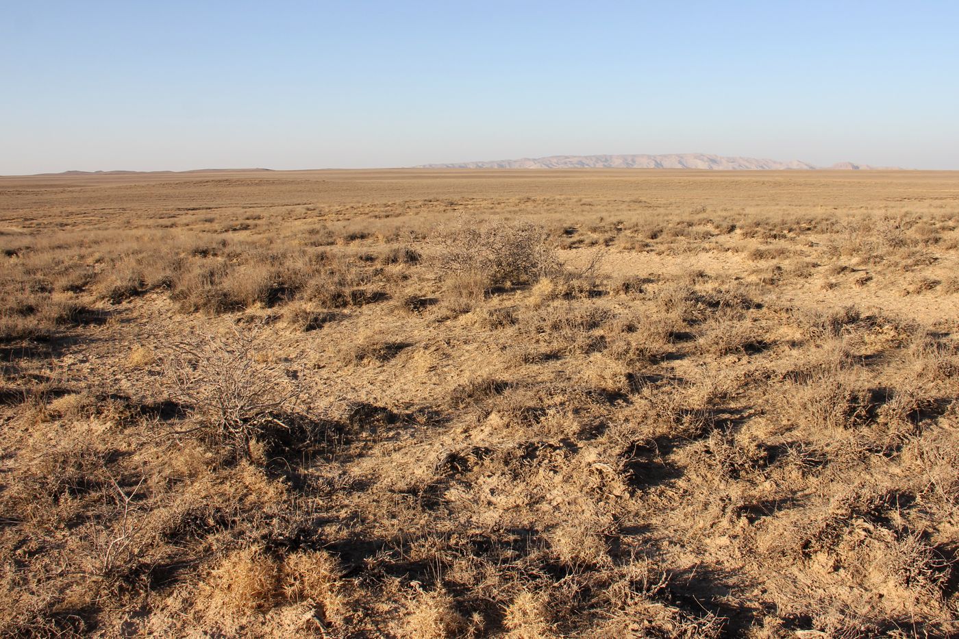 Тамдытау, image of landscape/habitat.