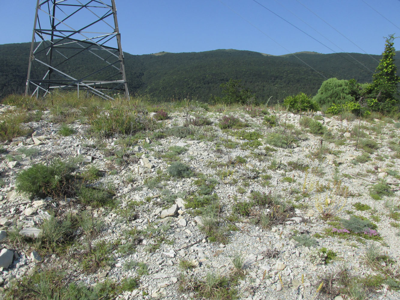 Отроги горы Совхозная, image of landscape/habitat.