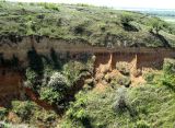 Image of landscape