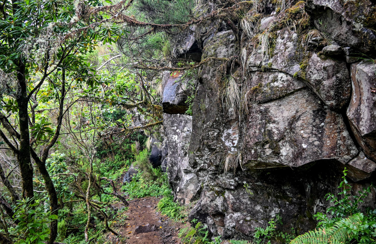 Национальный парк "Фанал", изображение ландшафта.