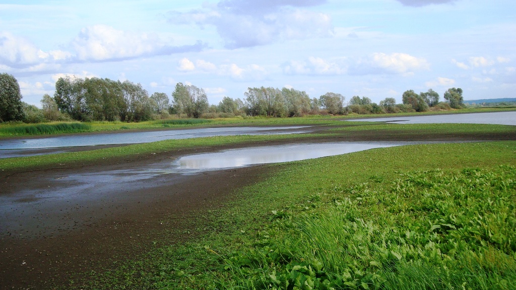 Солдыбаево, image of landscape/habitat.