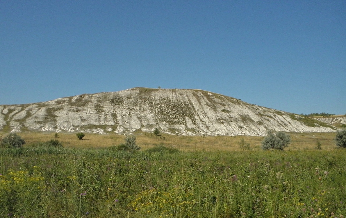 Село Стрельцовка, изображение ландшафта.