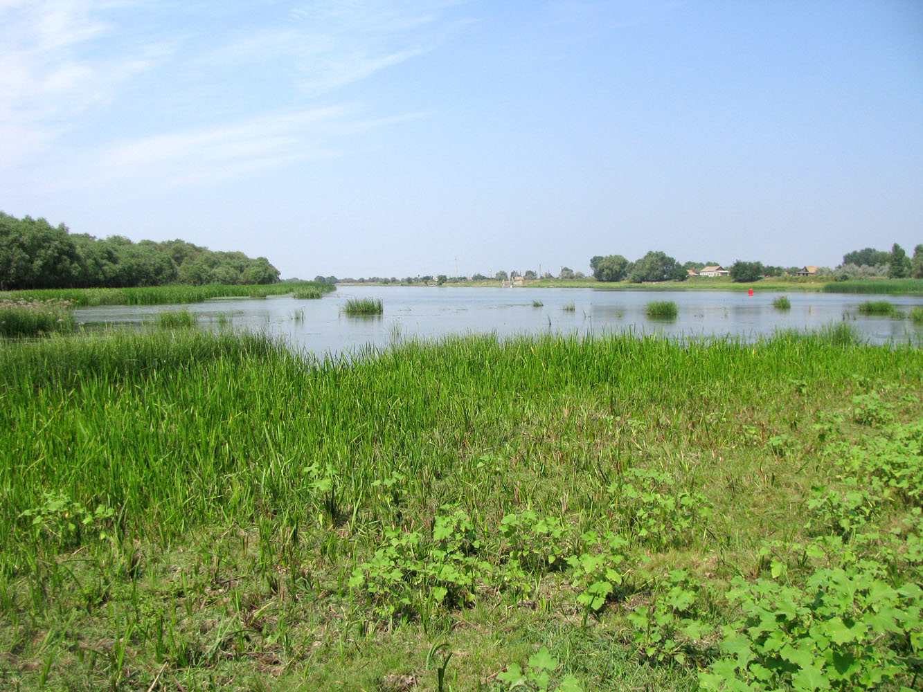 Болда, image of landscape/habitat.