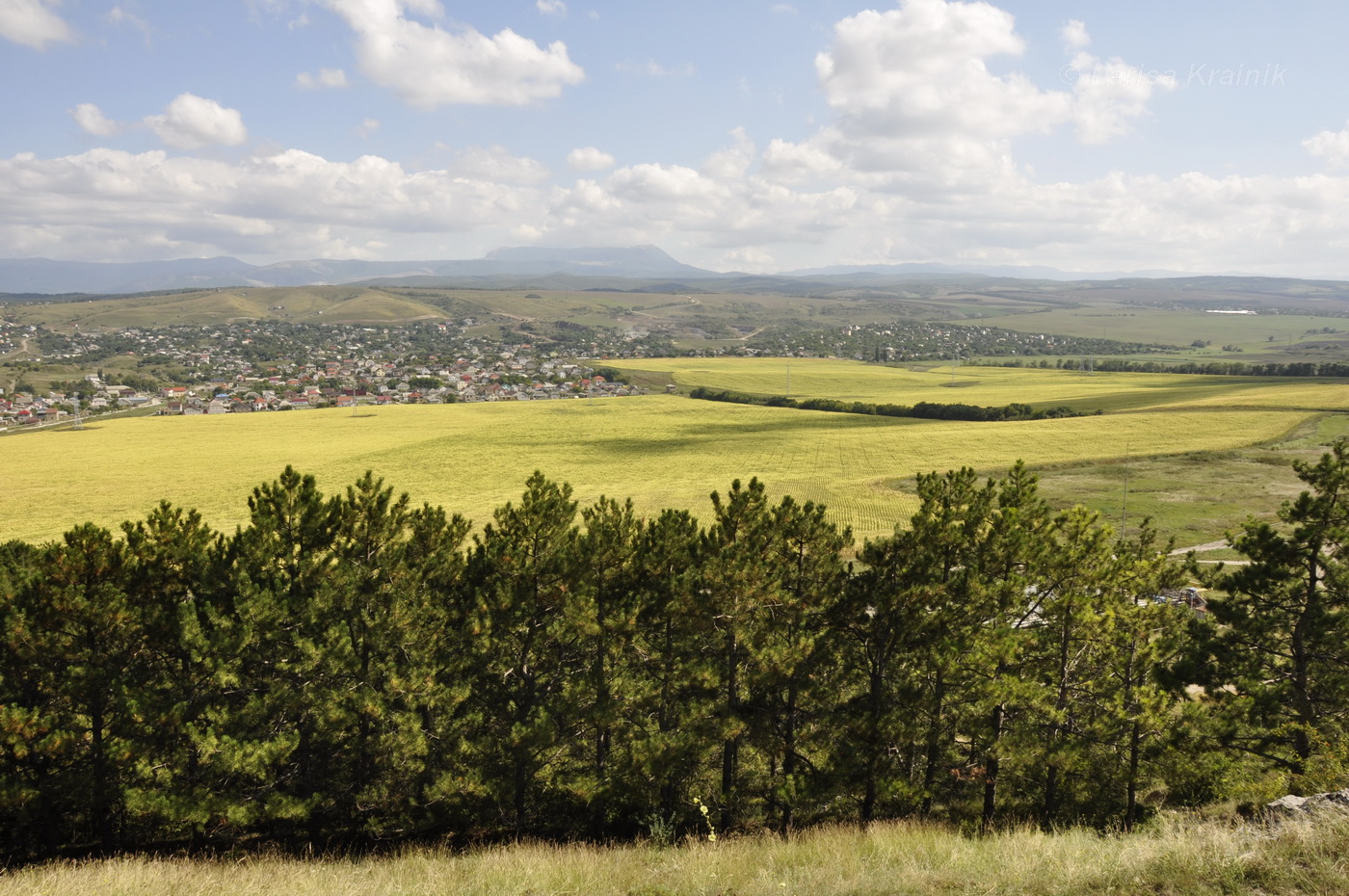 Окрестности мкр-на Пневматика, image of landscape/habitat.