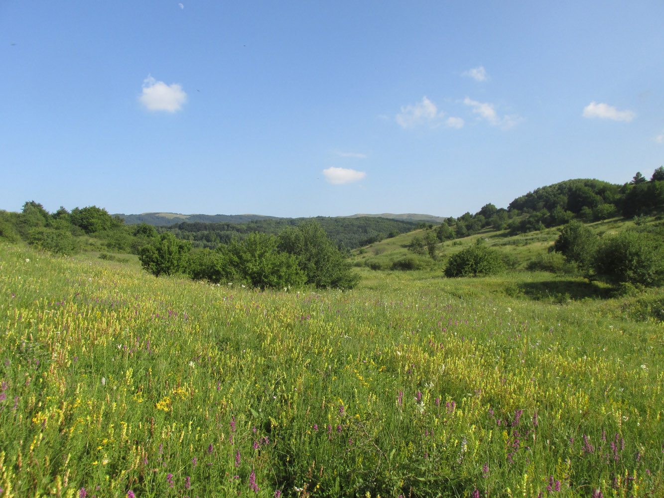 Долгоруковская яйла, image of landscape/habitat.