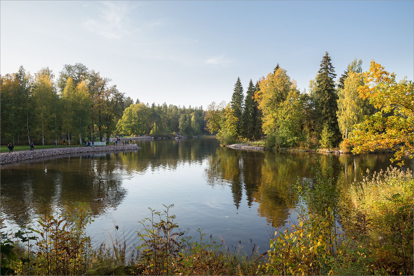 Парк Монрепо, image of landscape/habitat.