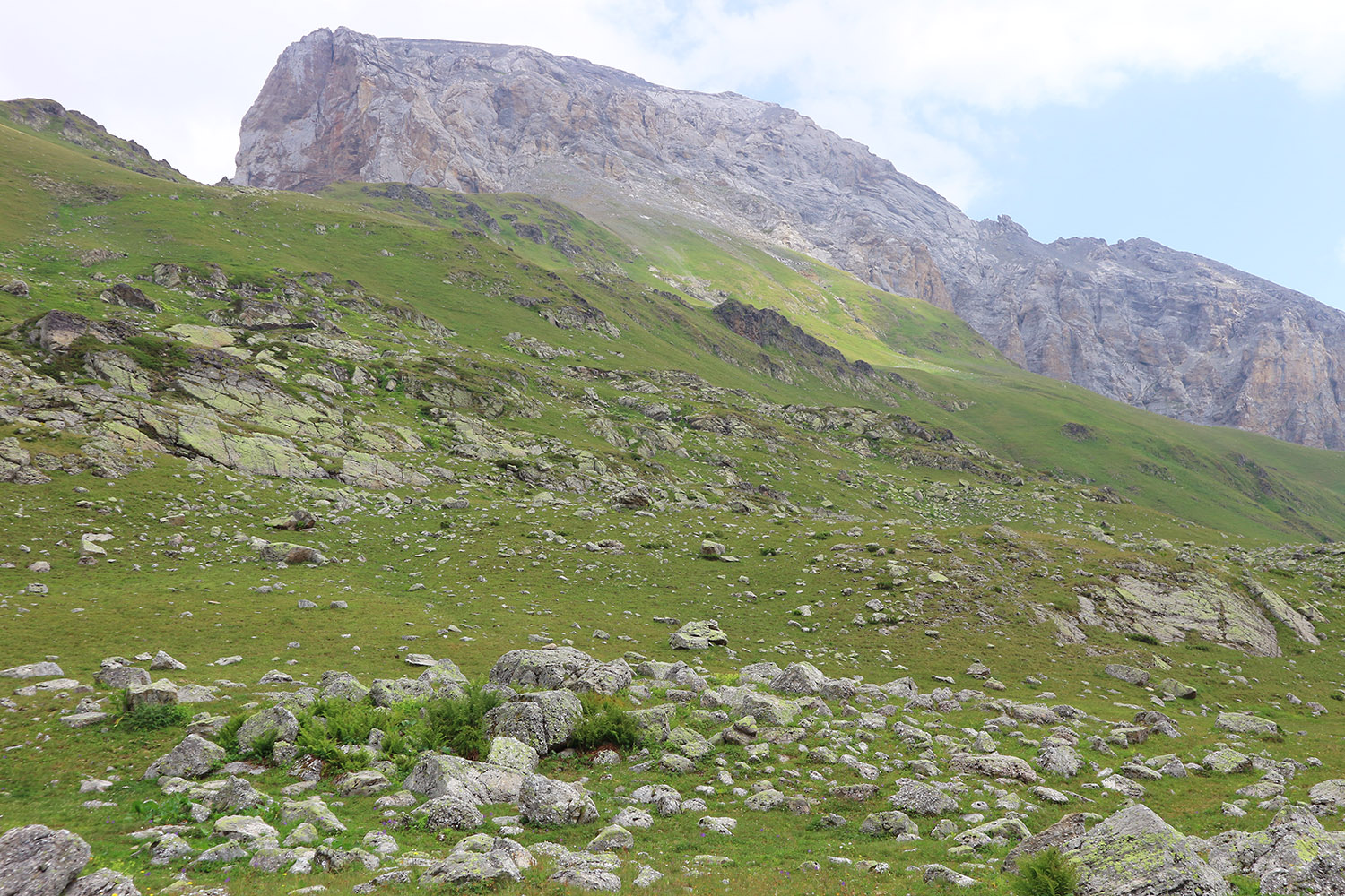 Гора Загедан Скала, image of landscape/habitat.