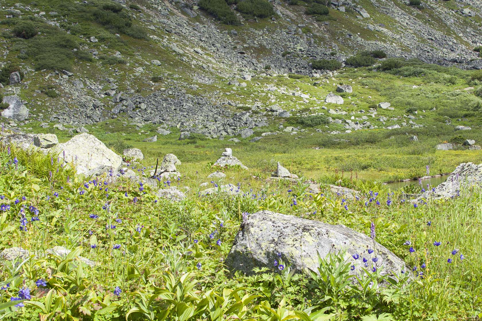 Шумилиха. Среднее озеро., image of landscape/habitat.