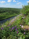 Ветлан, image of landscape/habitat.