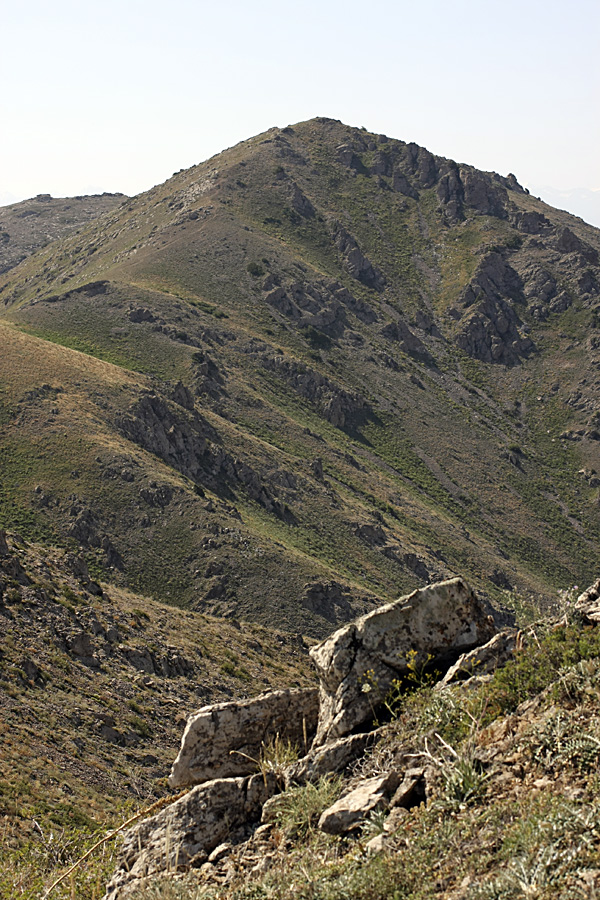 Ущелье Карасай, image of landscape/habitat.