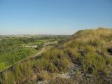 Село Стрельцовка, image of landscape/habitat.