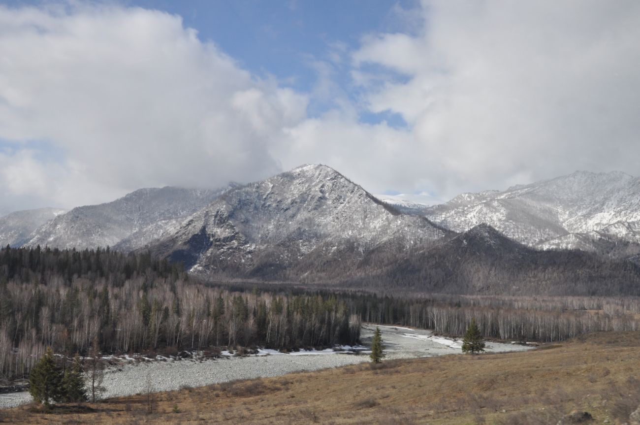 Окрестности села Тюнгур, image of landscape/habitat.