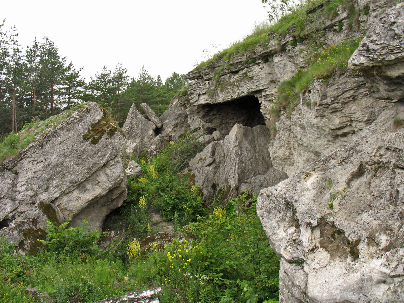 Кременецкие горы, изображение ландшафта.