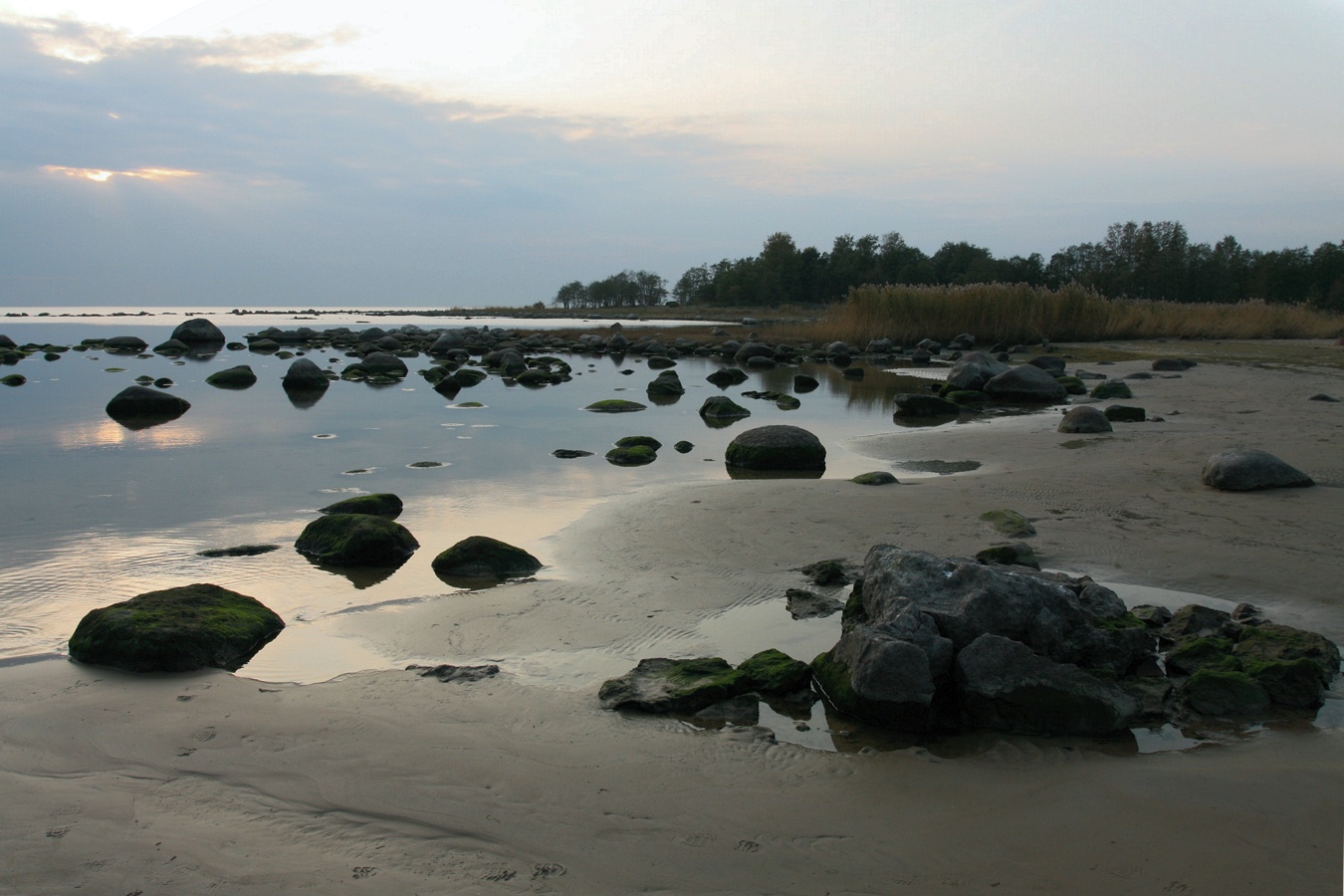 Батарейная бухта, image of landscape/habitat.