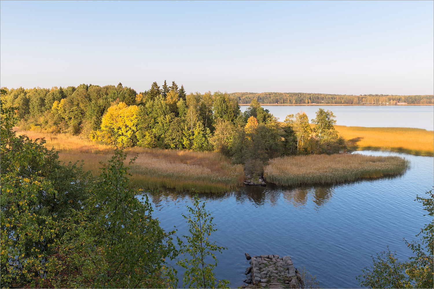 Парк Монрепо, image of landscape/habitat.