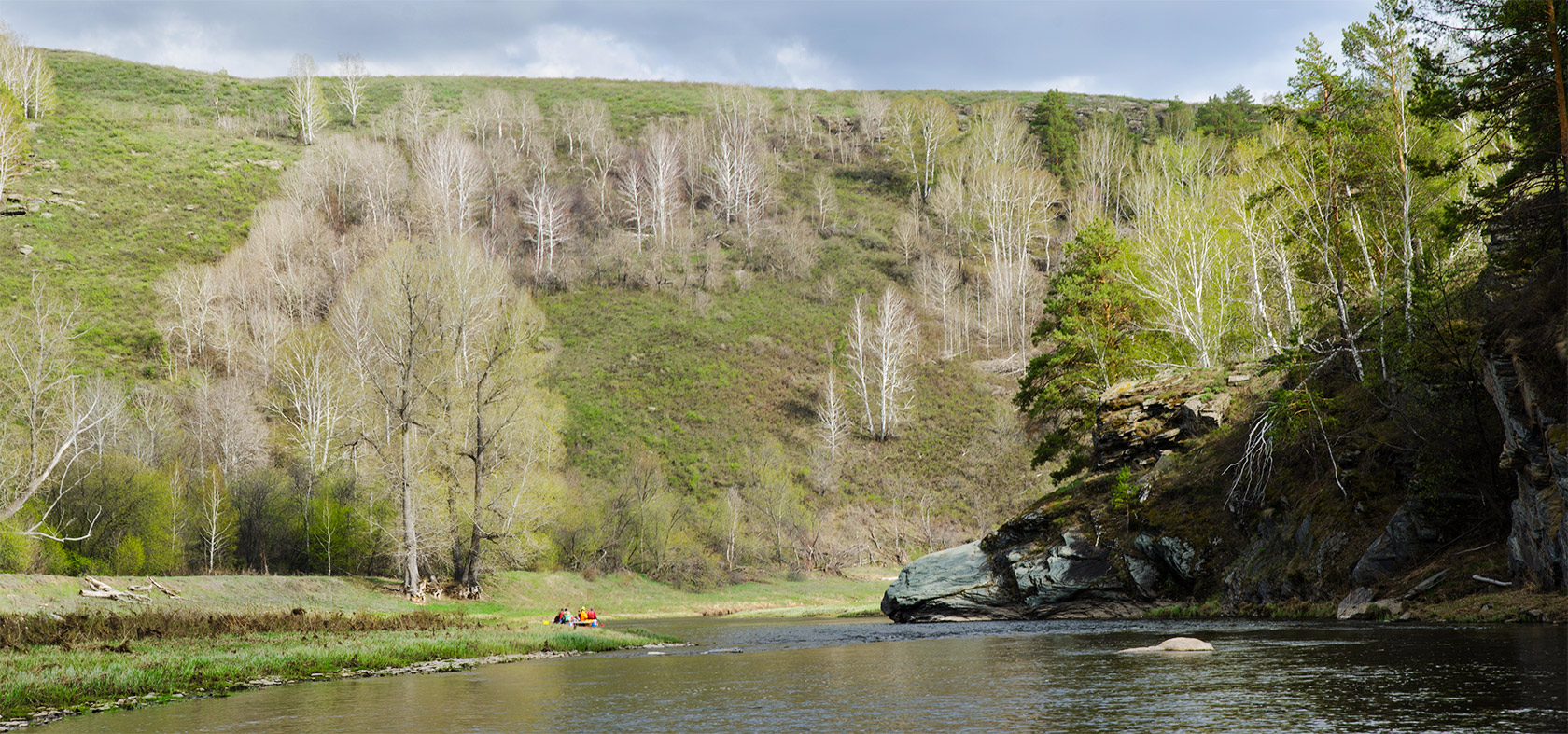 Окрестности Верхнегалеево, image of landscape/habitat.