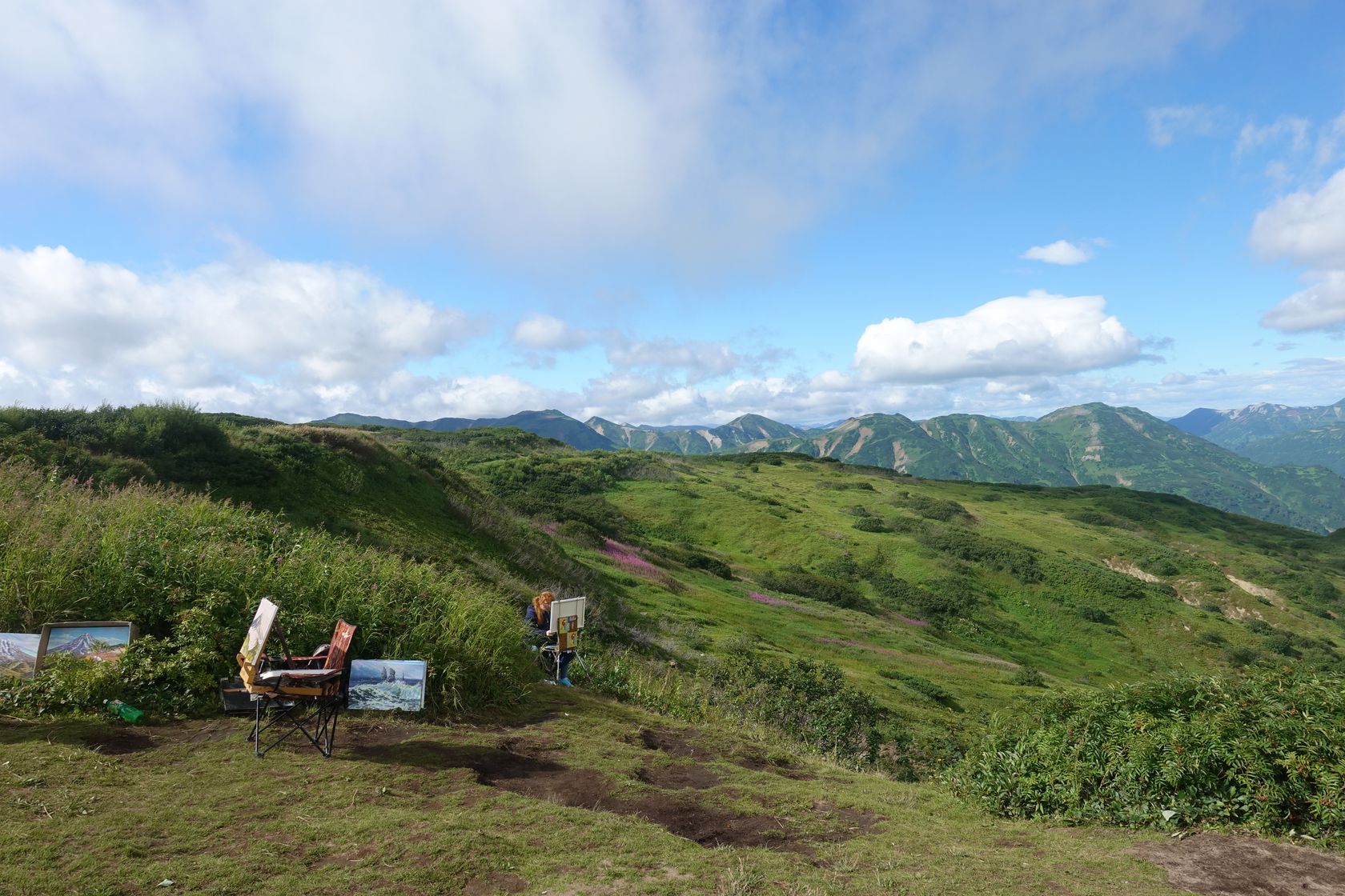 Вилючинский перевал, image of landscape/habitat.