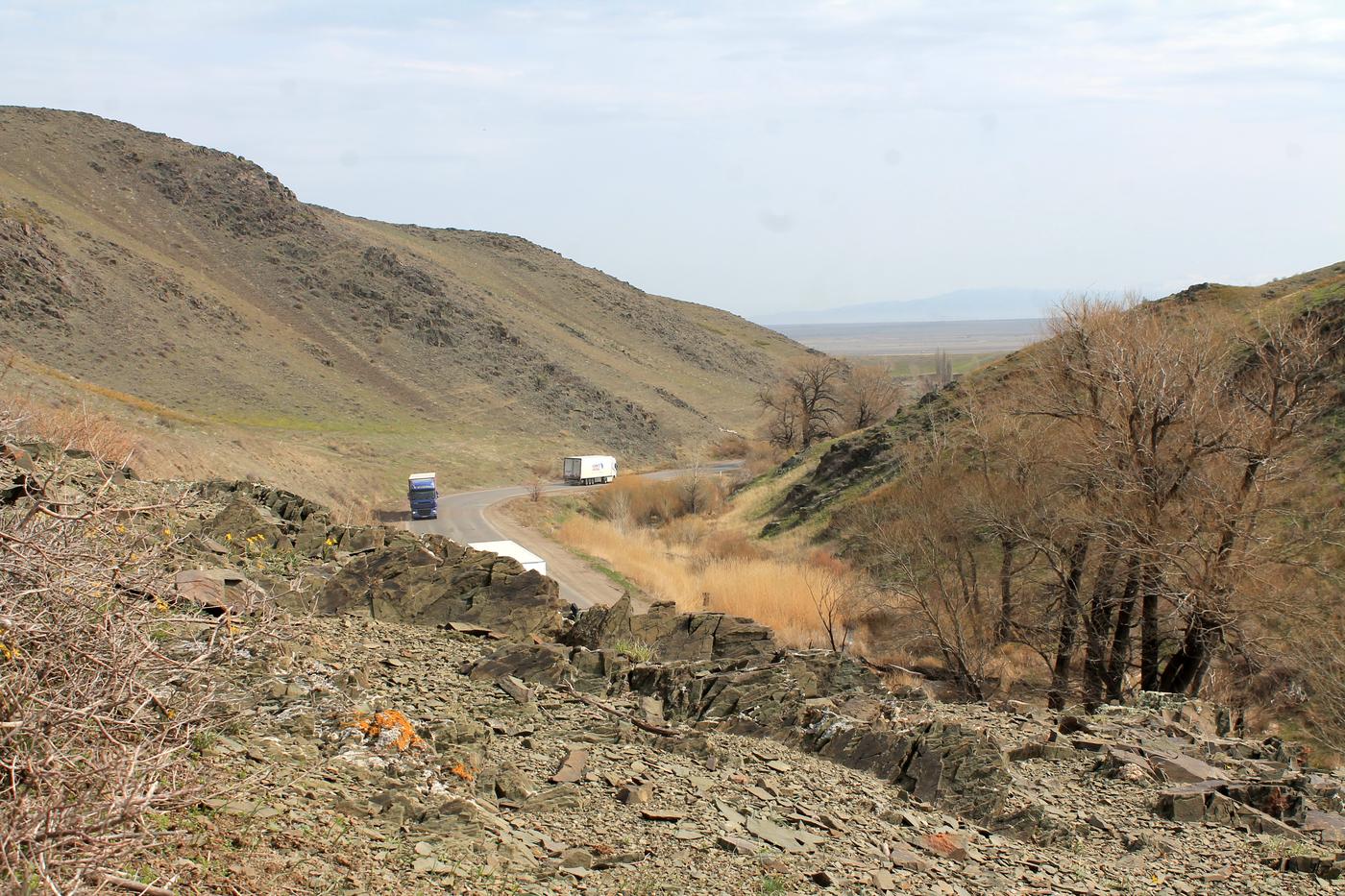 Куюк, image of landscape/habitat.