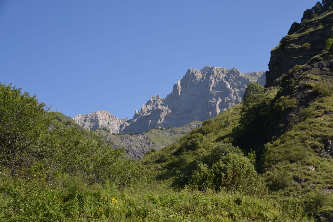 Гора Дайхох, изображение ландшафта.