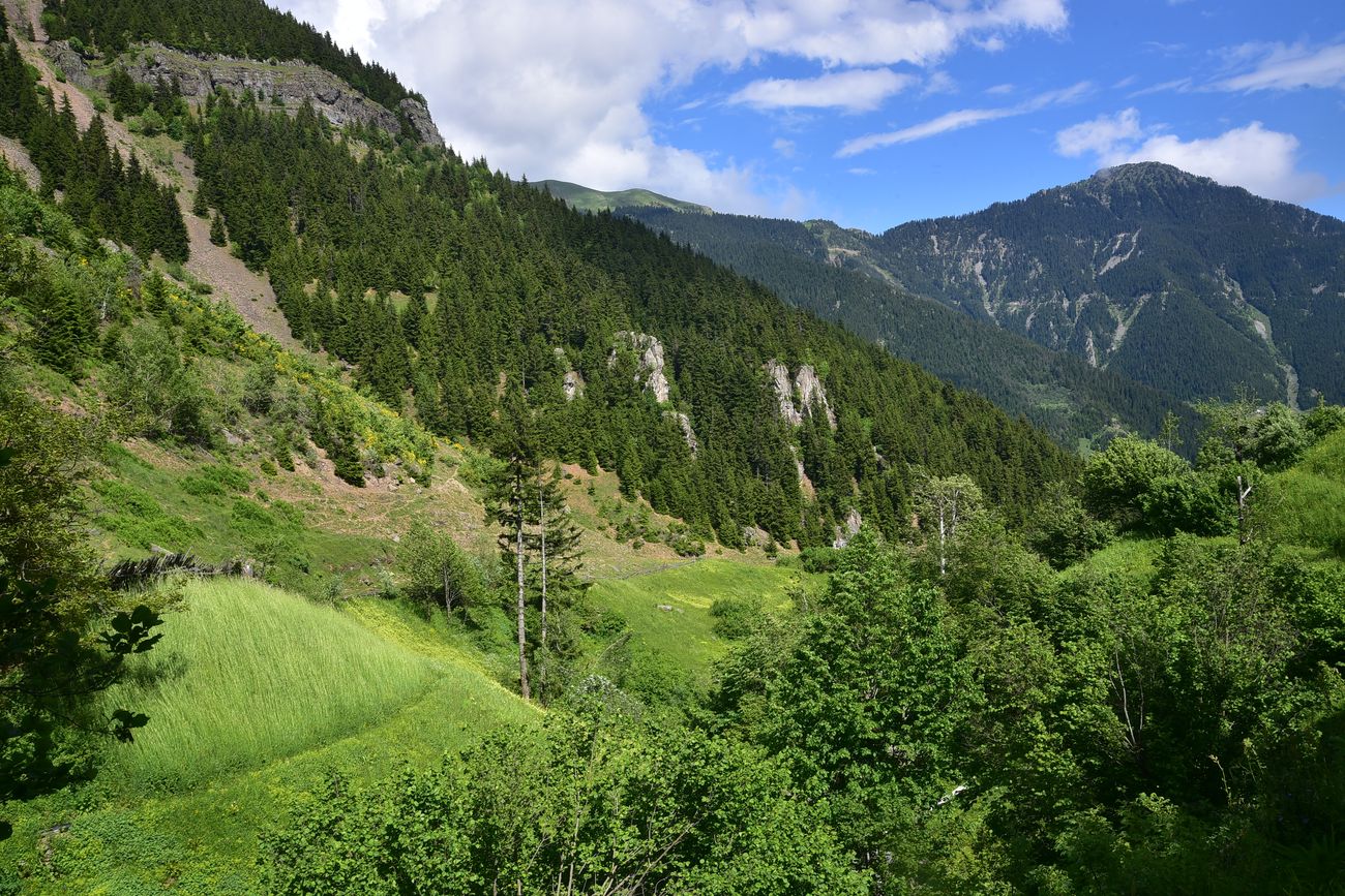 Кашикли, image of landscape/habitat.