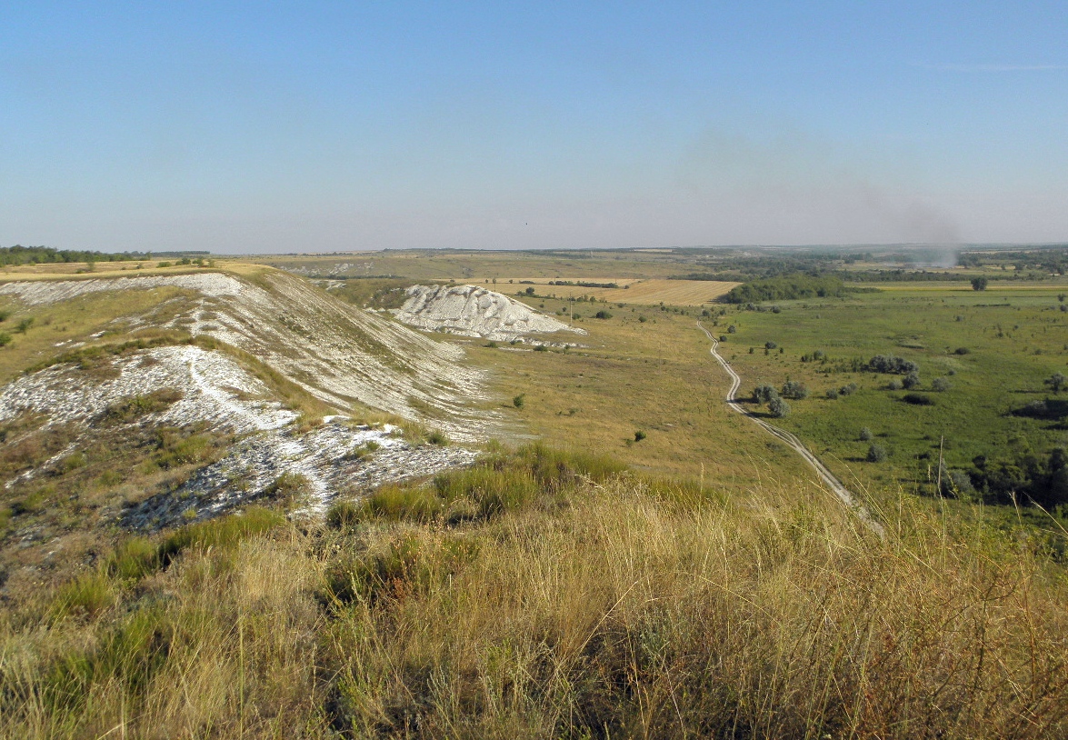 Село Стрельцовка, изображение ландшафта.