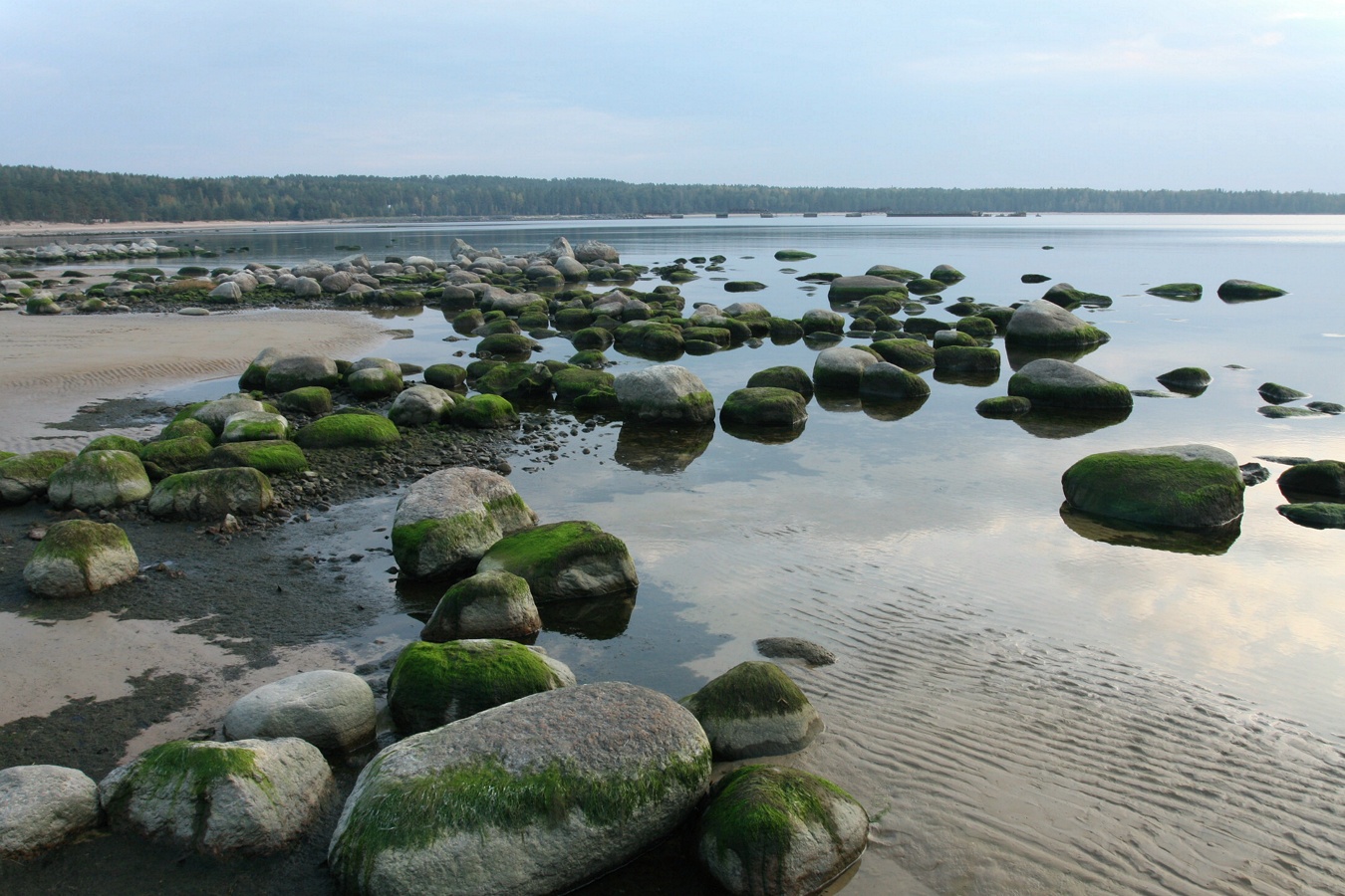 Батарейная бухта, image of landscape/habitat.