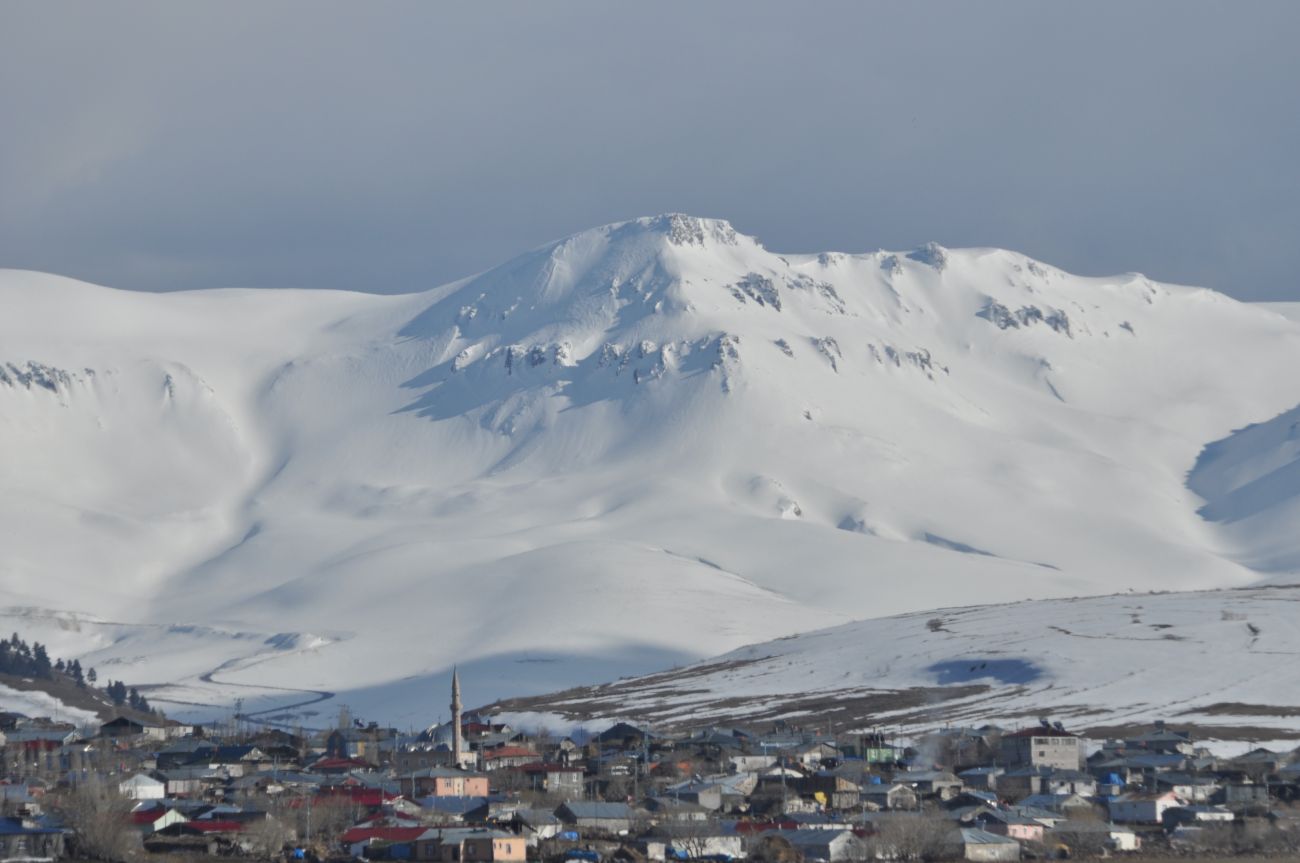 Окрестности села Сенемоглу, image of landscape/habitat.