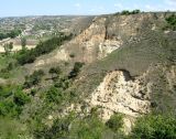 Image of landscape