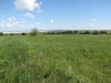 Image of landscape