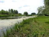 Image of landscape