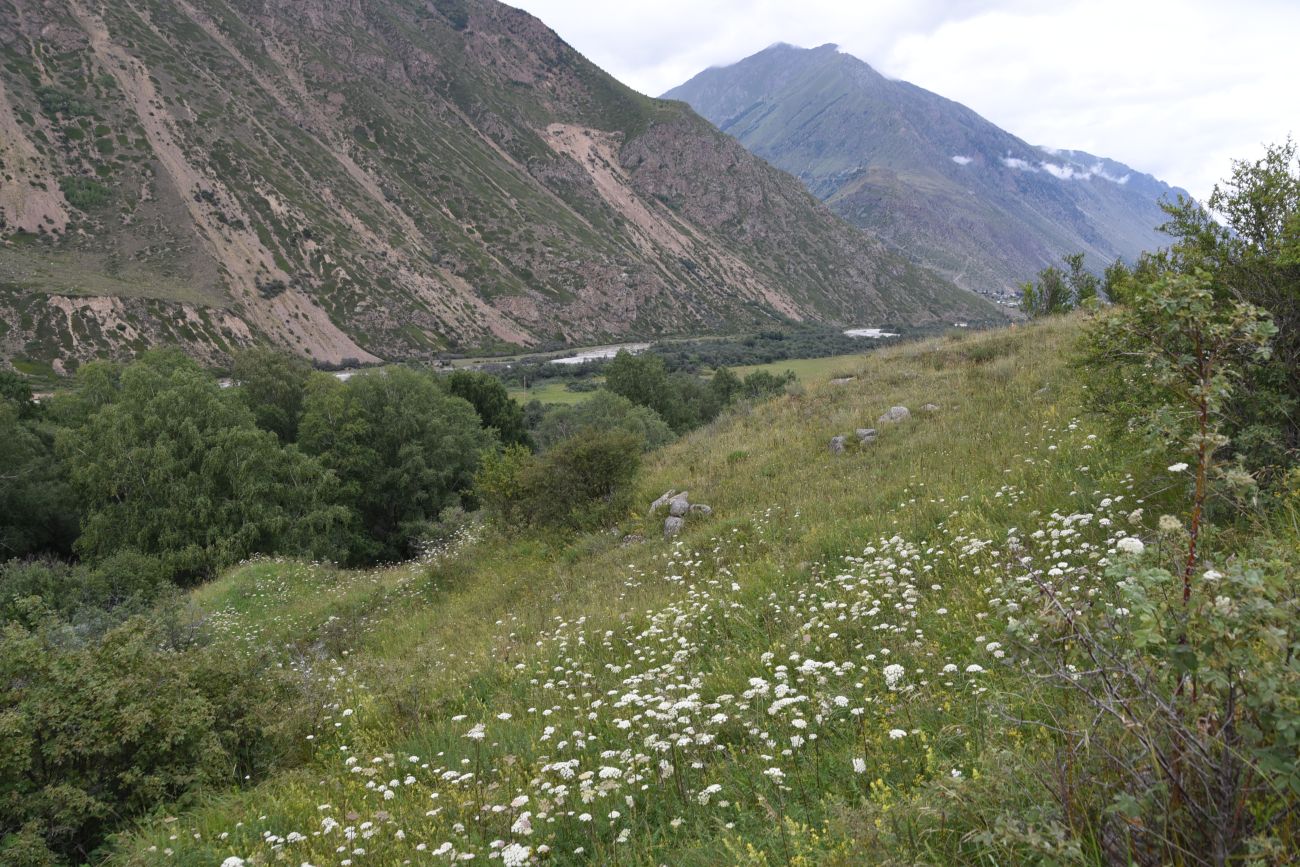 Памятник первовосходителям, image of landscape/habitat.