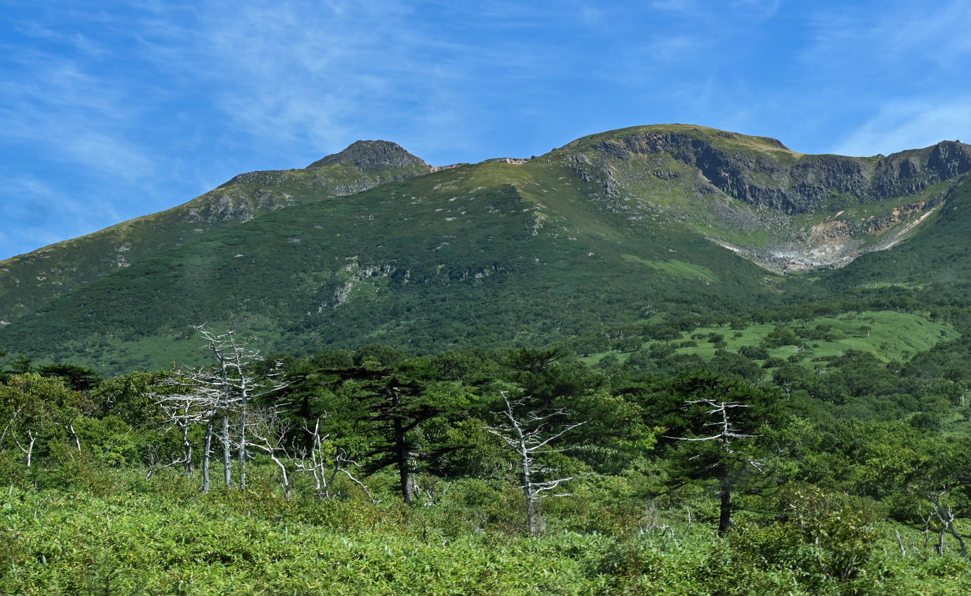 Вулкан Баранского, image of landscape/habitat.