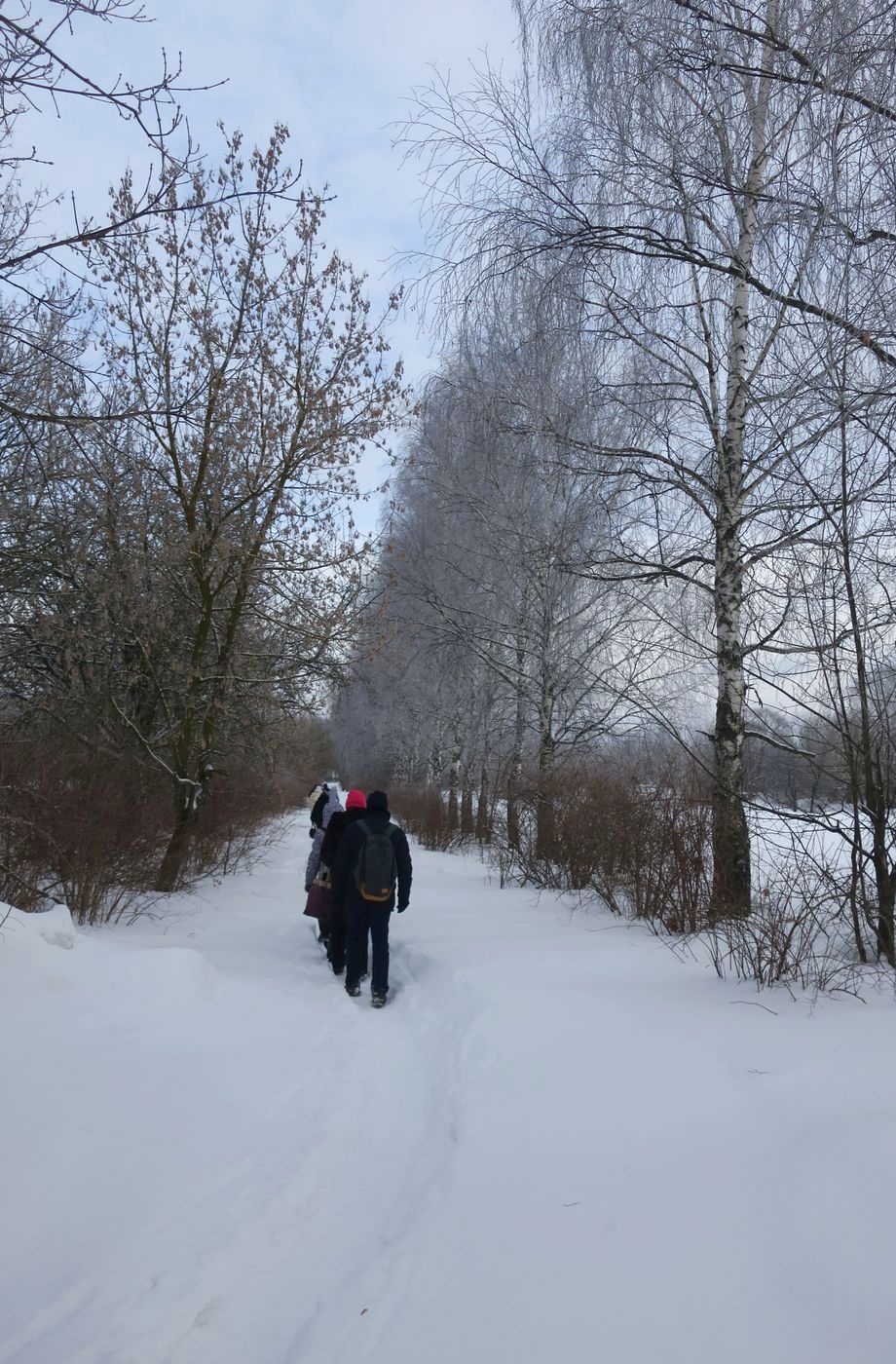 Лосино-Петровский и окрестности, изображение ландшафта.