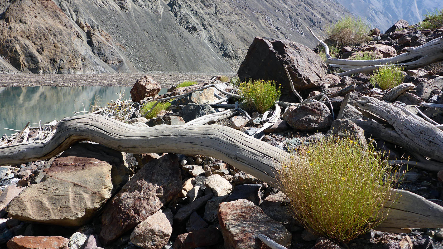 Восточный Сарез, image of landscape/habitat.