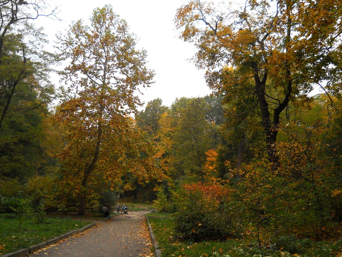 Киевский ботанический сад, image of landscape/habitat.