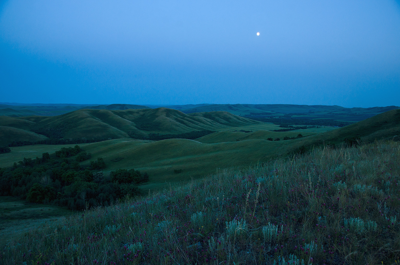 Султанбаево, image of landscape/habitat.