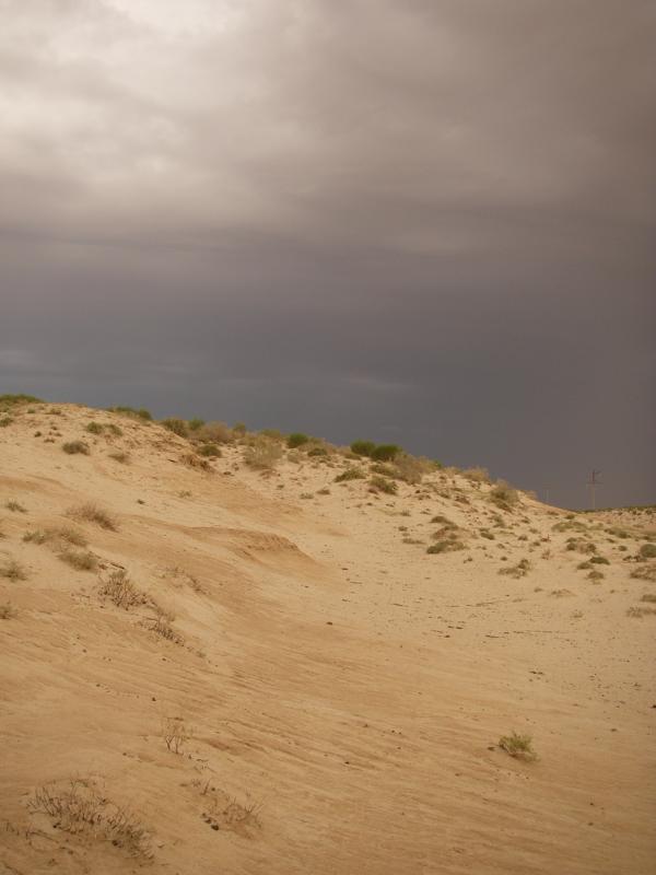 Такыры вдоль М 32, image of landscape/habitat.