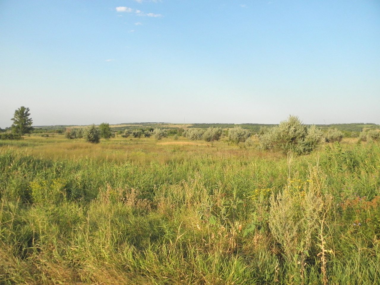 Село Стрельцовка, изображение ландшафта.