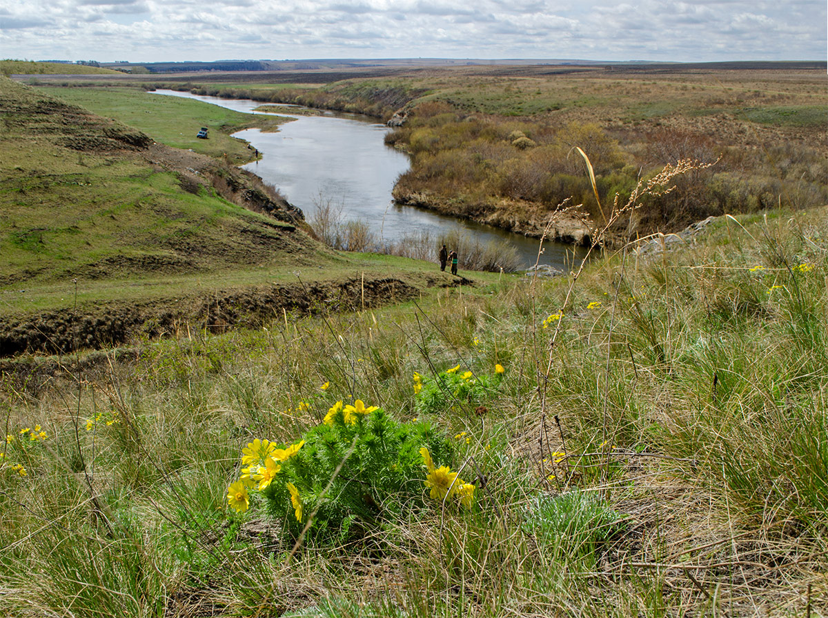 Окрестности Белоключевки, image of landscape/habitat.