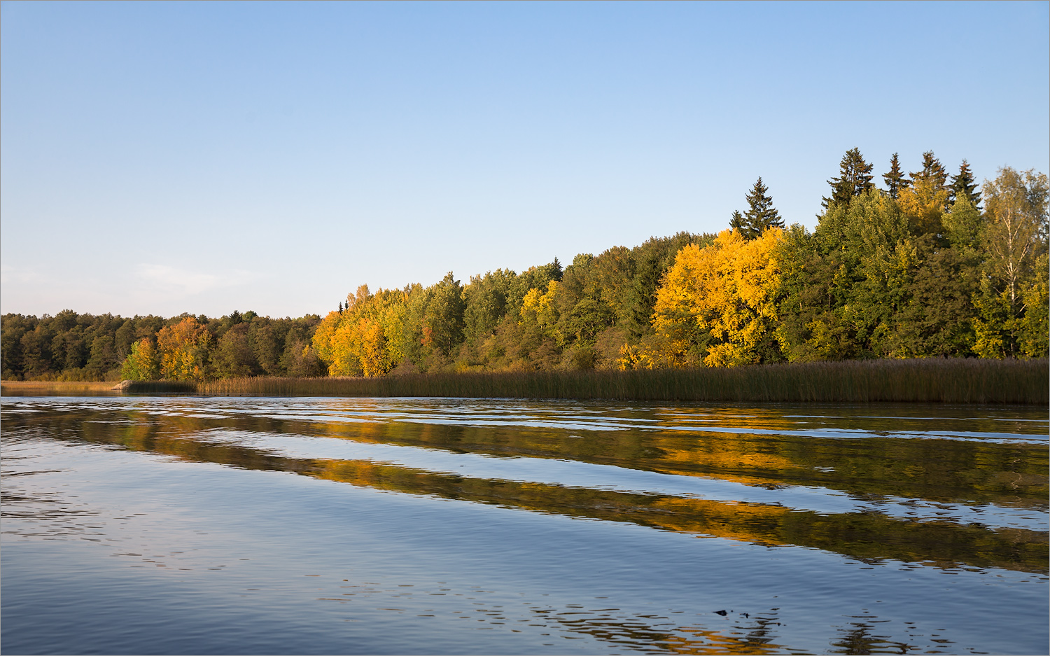 Парк Монрепо, image of landscape/habitat.